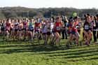 Soon after the start of the womens 2013 BUCS Cross Country Championships.